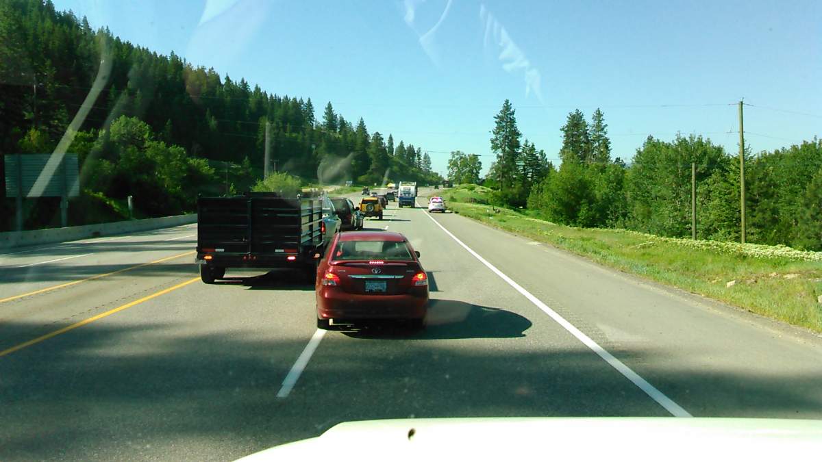 An alpaca on the loose causes spectacle on Okanagan highway - image
