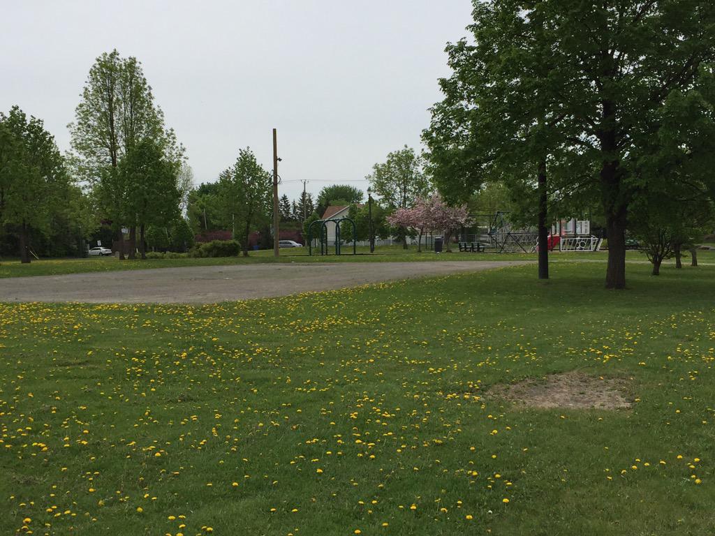 A glimpse of Levasseur Park in St-Constant, Que. 