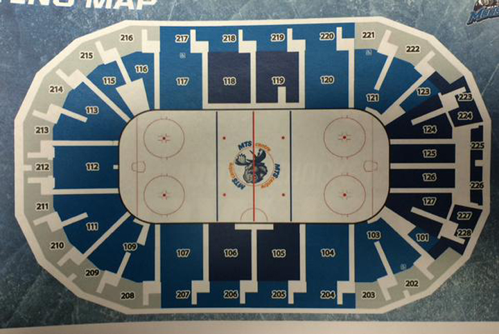 Manitoba Moose seating
