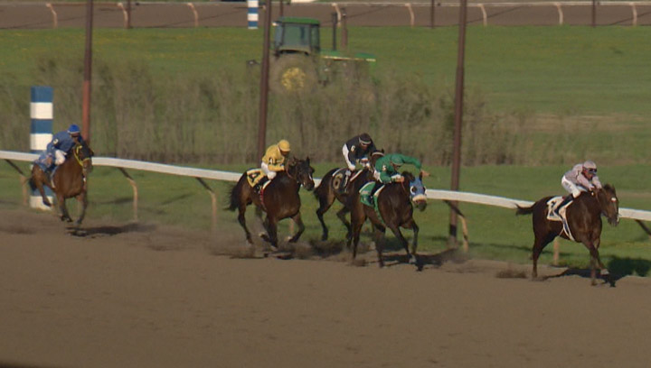 Horse racing at Marquis Downs in May 2014. Thoroughbreds are back on the track as the 2015 horse racing season kicks off at Saskatoon’s Marquis Downs.