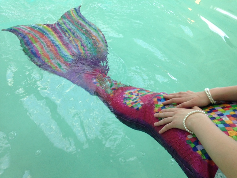 Halifax Mermaids wants to make a splash with grant money - image