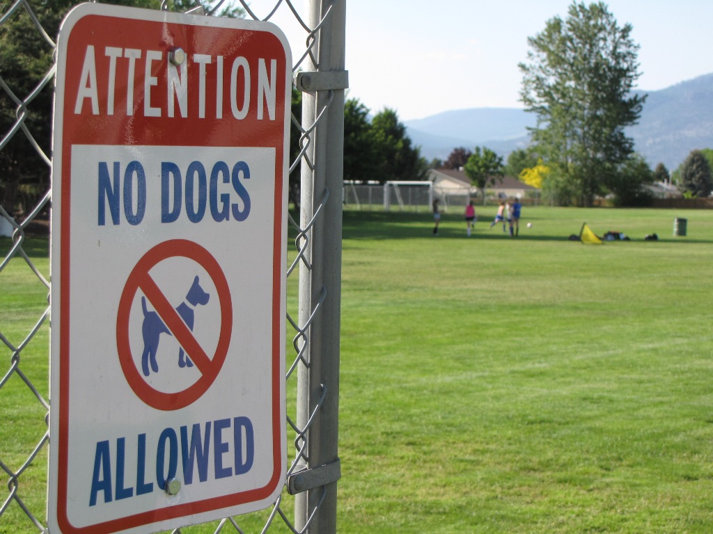 No dogs allowed in many Okanagan public spaces - image