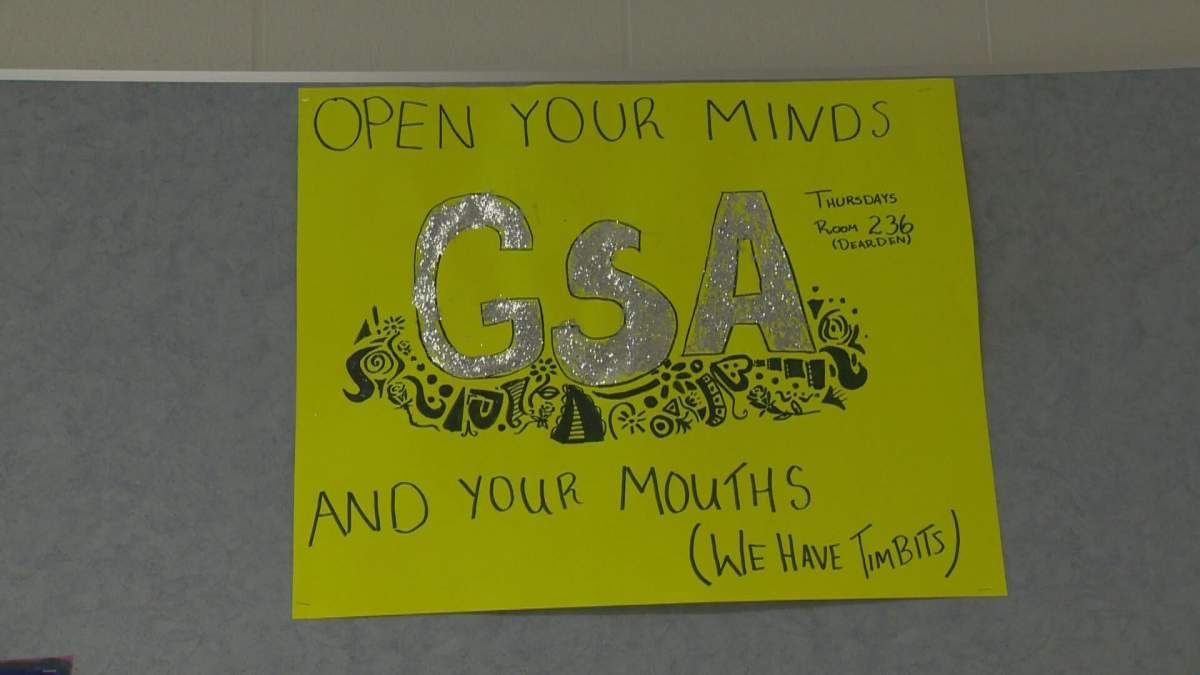 Gay-straight alliances, also known as gender and sexuality alliances, are essentially support and activism groups for lesbian, gay, bisexual, and transgender (LGBT) students.