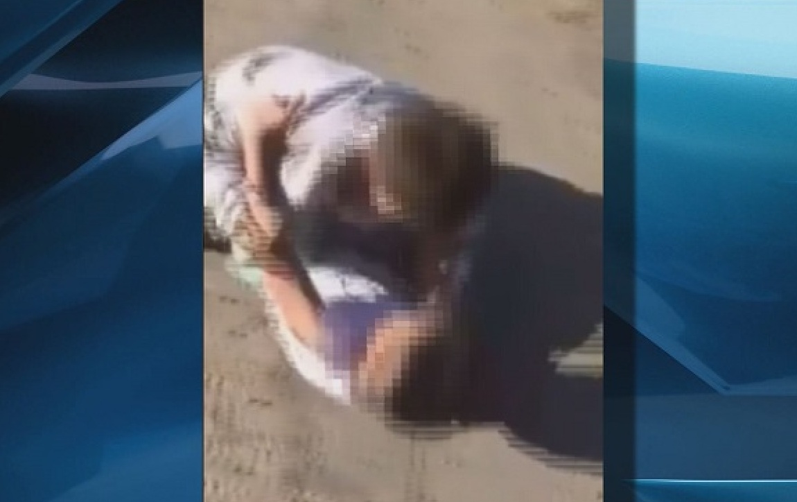 A video made the rounds rounds on social media in early May showing a fight between two young boys with an older person off-camera shouting encouragement.