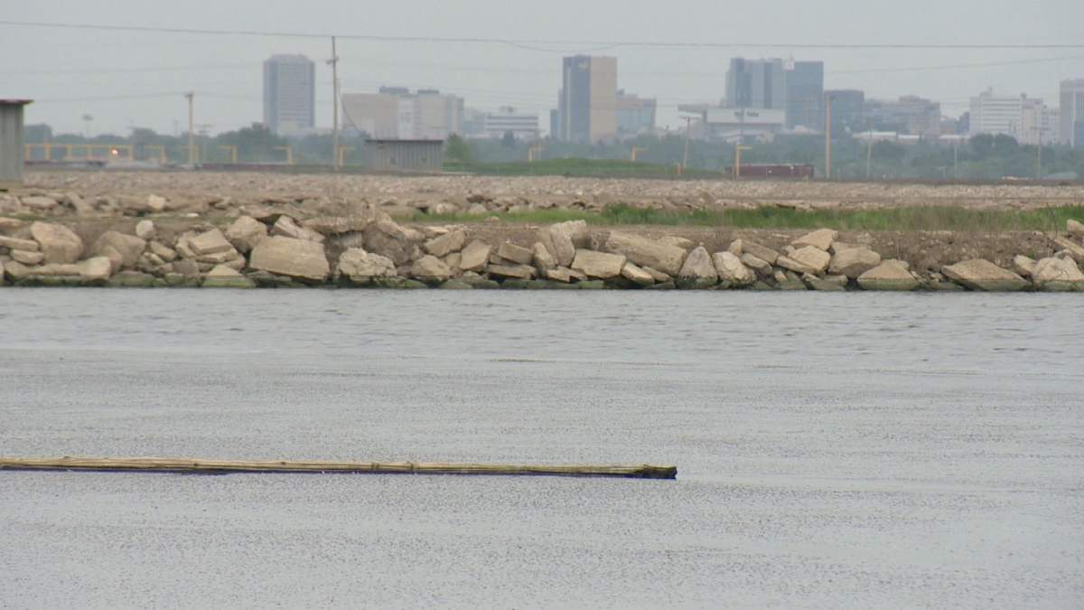 In a portfolio that includes landfills, forestry and water quality, the government says new Environment Minister Herb Cox may need more time before fully commenting on climate change.