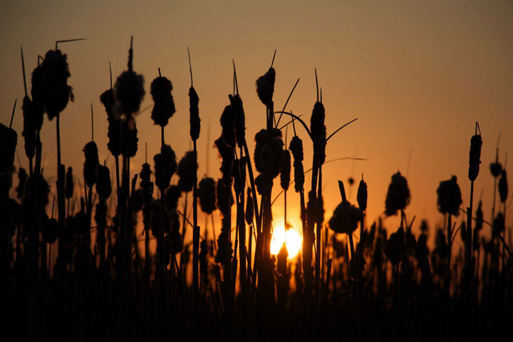 May 31: This Your Saskatchewan photo was taken by Teresa Taylor in Saskatoon.