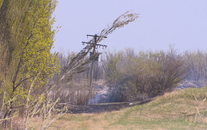 The Saskatoon Fire Department says a beaver is to blame for a grass fire south of the city on the May long weekend.