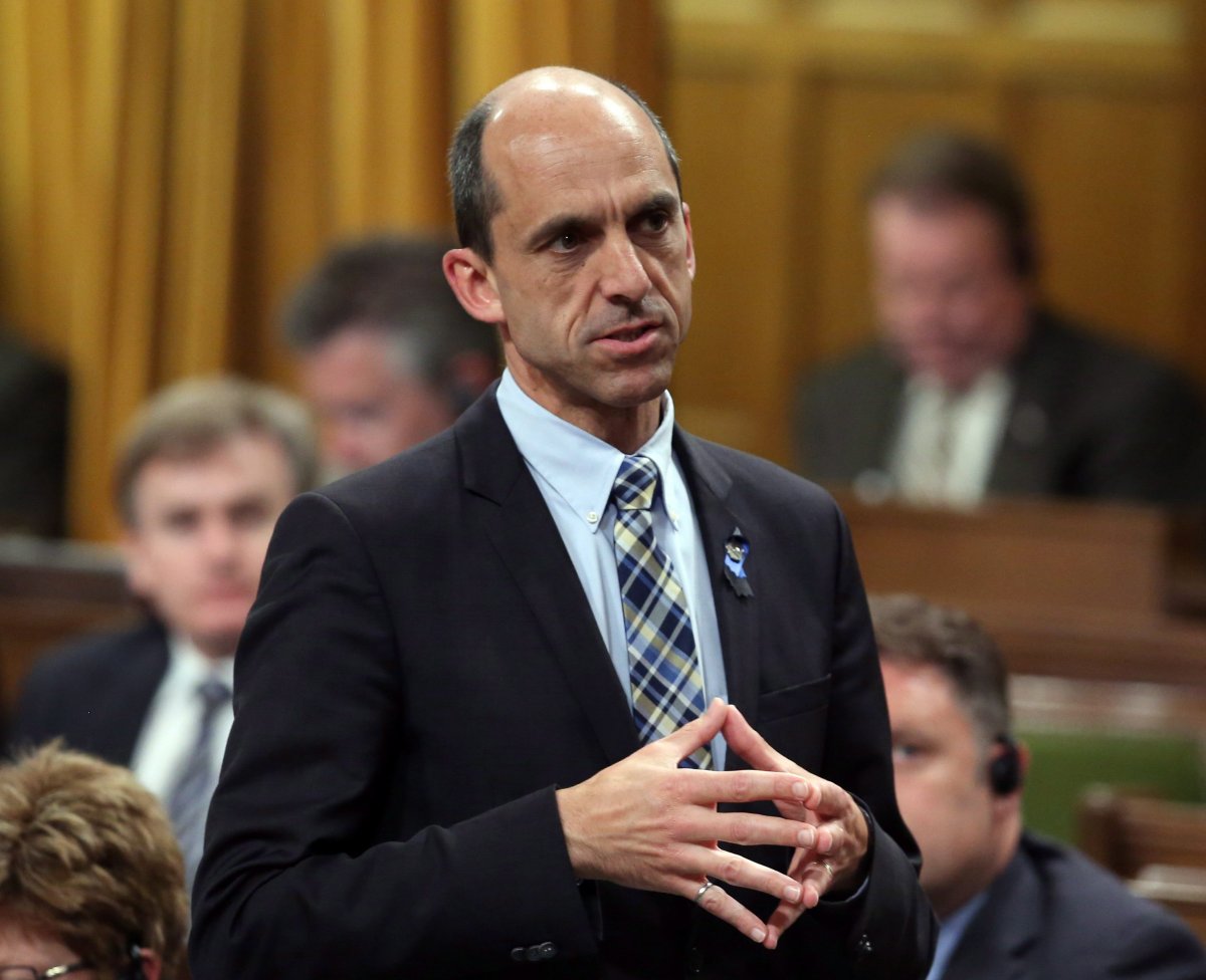 Public Safety Minister Steven Blaney stands in the House of Commons during question period on Parliament Hill Tuesday, June 9, 2015 in Ottawa. 