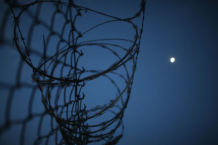 Jamaican finally deported but damages urged for 5-year immigration detainee - image