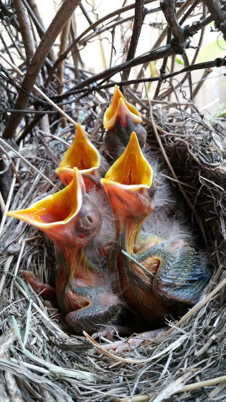 June 20: This Your Saskatchewan photo was taken by Jennifer Pirot in Saskatoon.