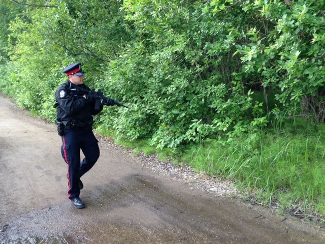 An Edmonton police officer searches for a black bear in the river valley after reported sightings, Thursday, June 25, 2015. 