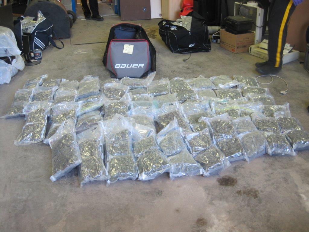 77 pounds of marijuana was seized by Brooks RCMP after a June 10 traffic stop.