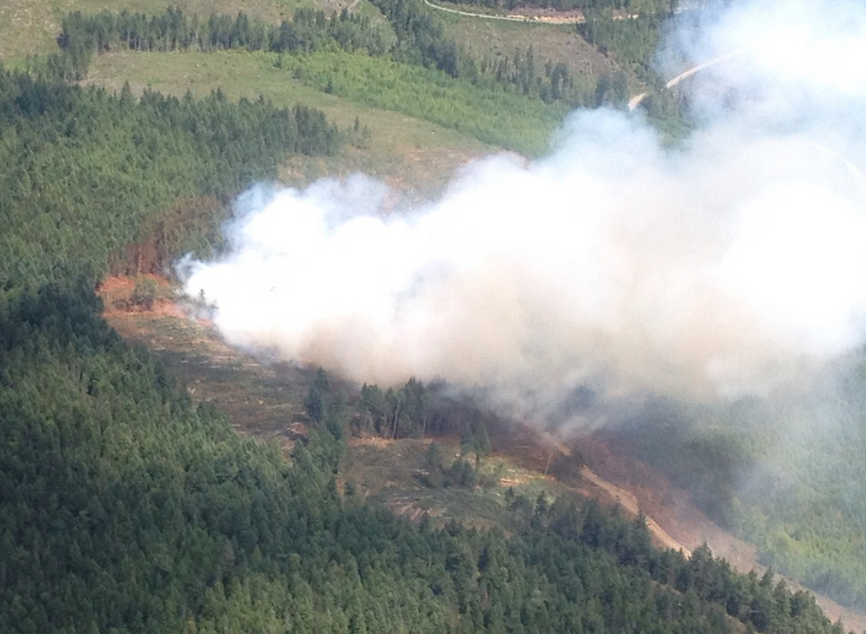 A fire near Mt. Benson Regional Park is four hectares in size, says the BC Wildfire Management Branch.