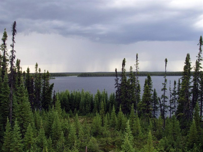 The Boreal Forest in central Quebec is shown in a 2007 handout photo. 