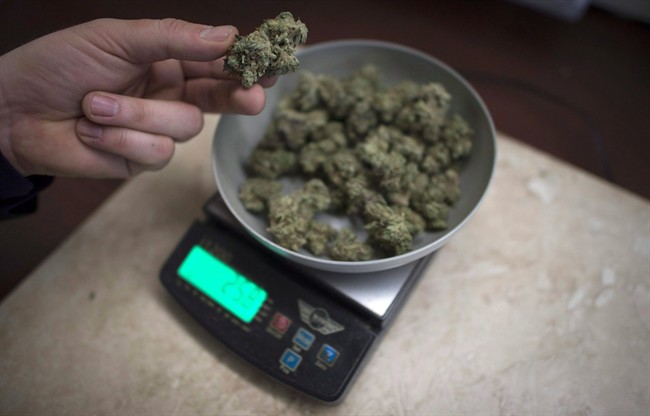 Marijuana is weighed at a medical marijuana dispensary, in Vancouver, Wednesday, Feb. 5, 2015. 