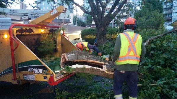 Heavy winds knock down trees, power on the South Coast - BC | Globalnews.ca