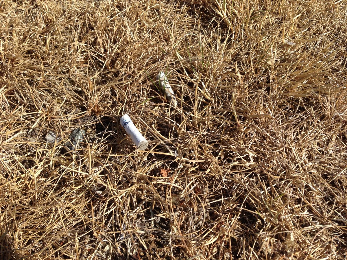 Discarded cigarette butts.
