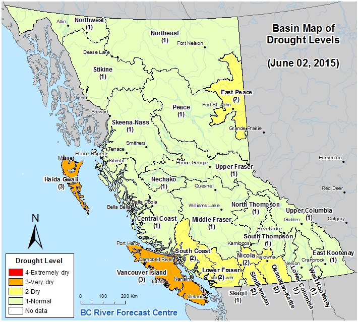 Lower flow levels on Cowichan River raising concern - image