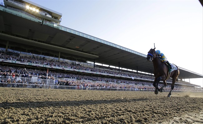 American Pharoah with Victor Espinoza up crosses the finish line to win the 147th running of the Belmont Stakes horse race at Belmont Park, Saturday, June 6, 2015, in Elmont, N.Y. 