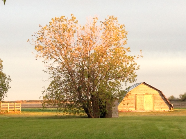 Your Manitoba