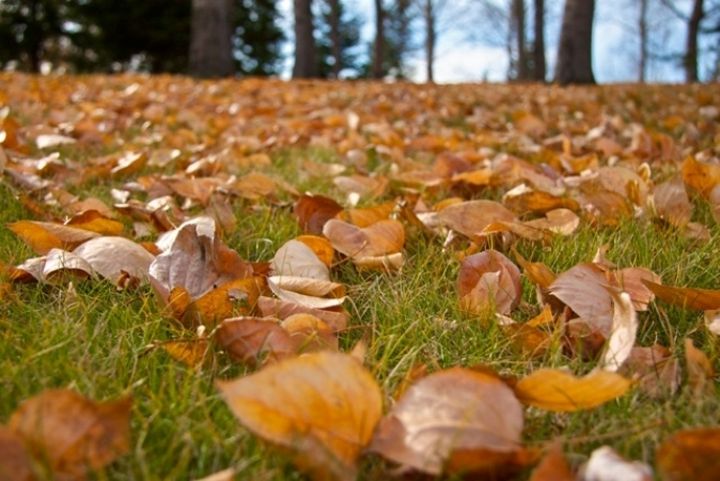 Take your best shot at a new photography contest in Fish Creek Park.