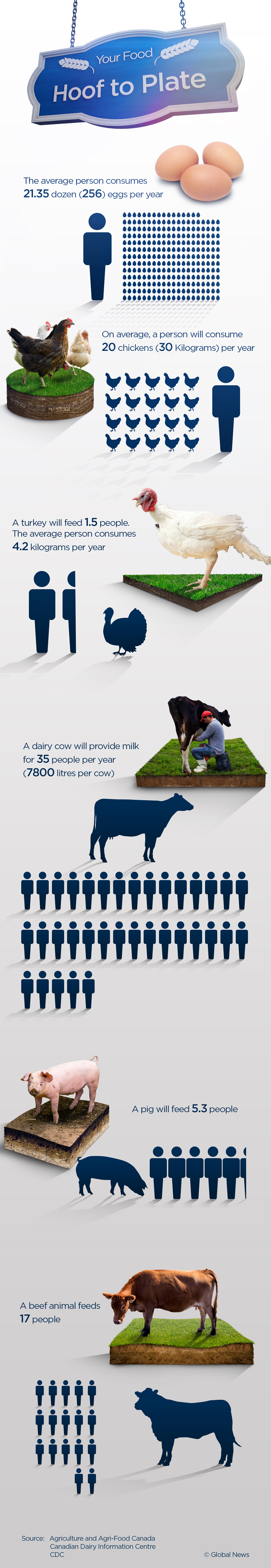 A hog, a year and 5.3 Canadians: Our appetite for animal products, by the numbers - image