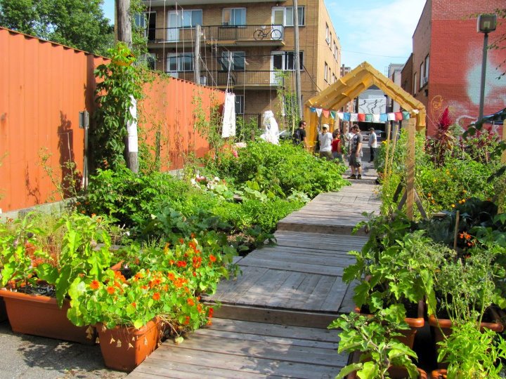 Greenery at the Marché Solidare Frontenac.