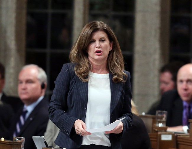 Interim Conservative Leader Rona Ambrose announced her official shadow cabinet Friday naming long-time MP Lisa Raitt to the key position of finance critic.