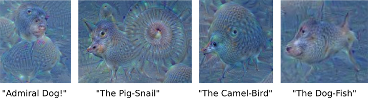 Google’s AI creates bizarre, yet beautiful images — from its dreams - image