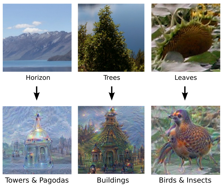 Google’s AI creates bizarre, yet beautiful images — from its dreams - image