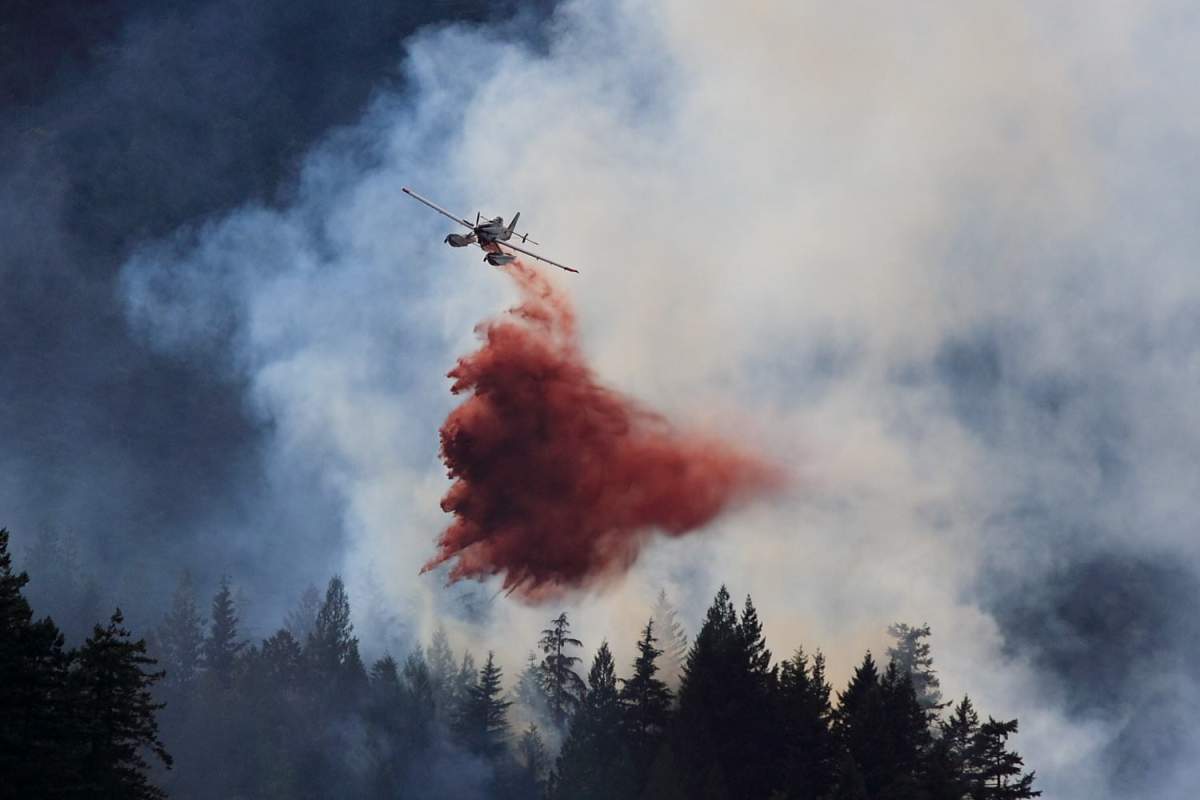 Credit: Lloyd Blake.