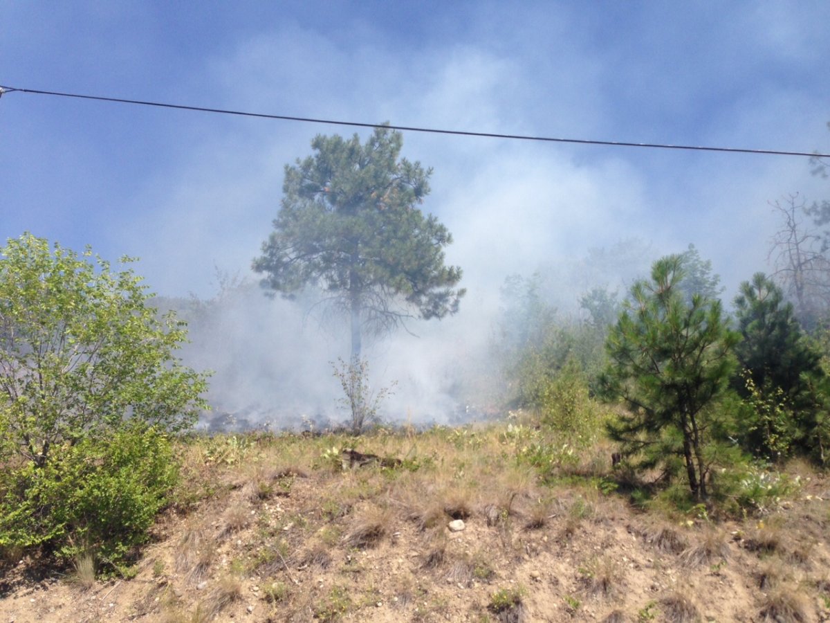 Grass fire burning in east Kelowna - image