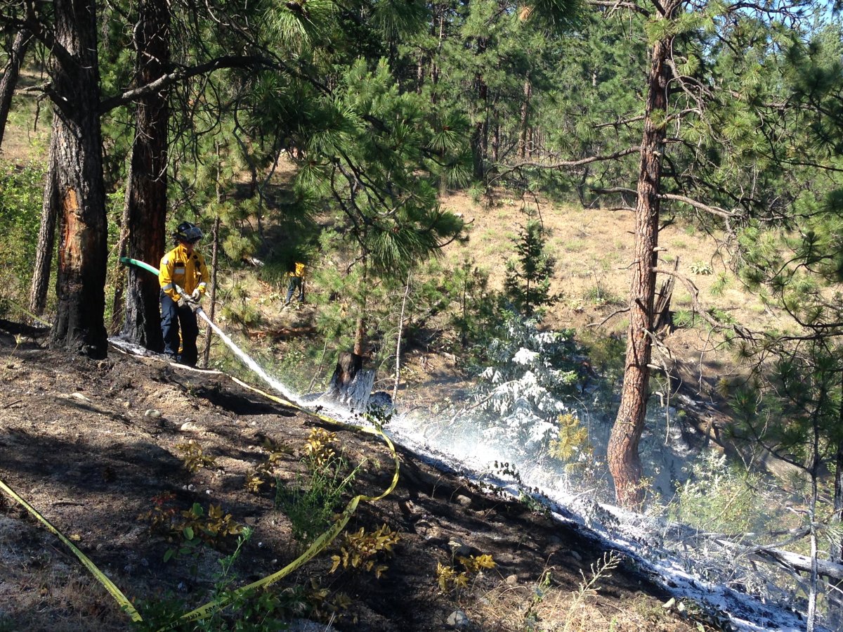 UPDATE: Bear Creek Rd. fire human caused - image