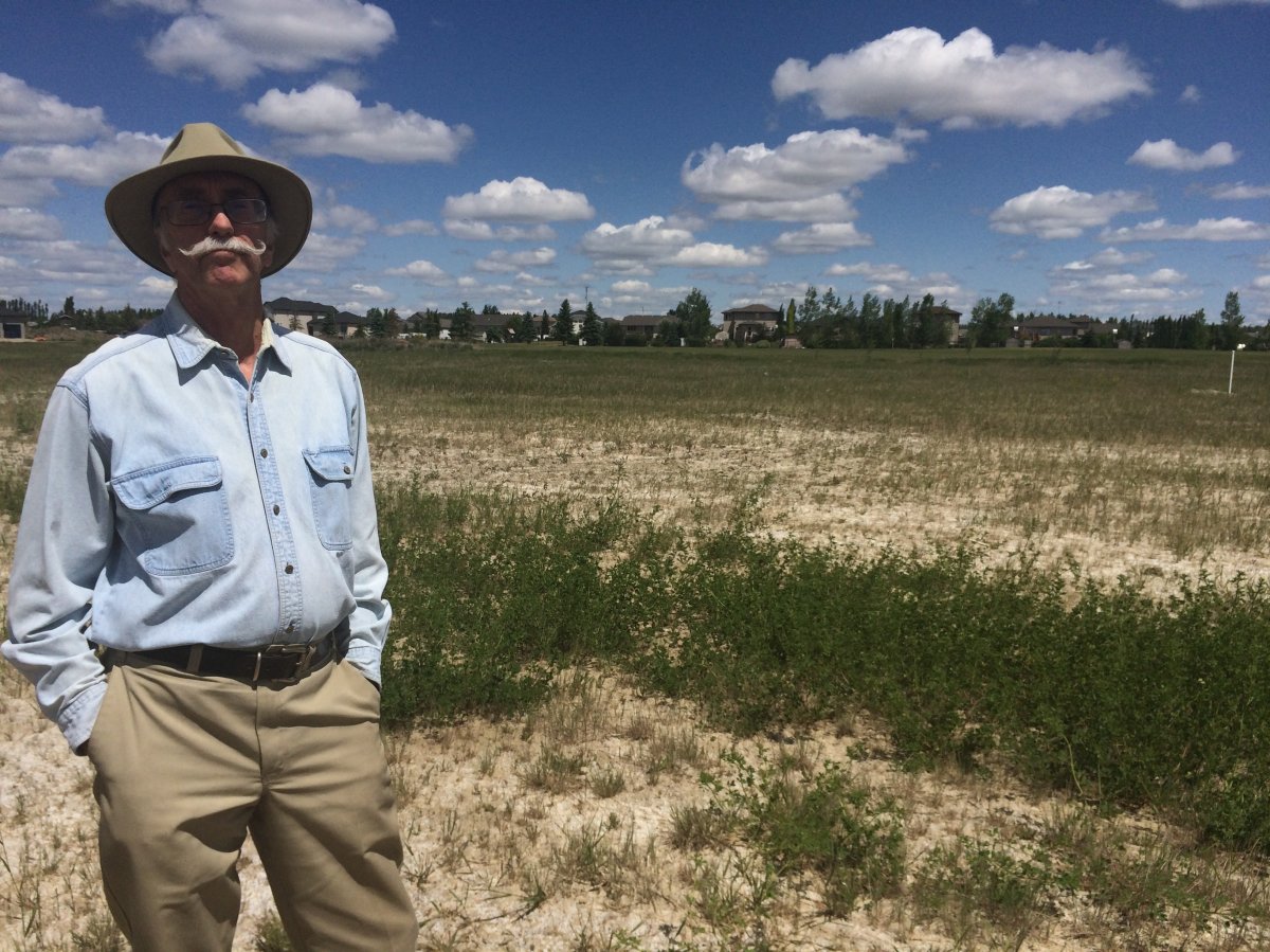John Panter stands at the location of the proposed Emerald Park seniors' complex.