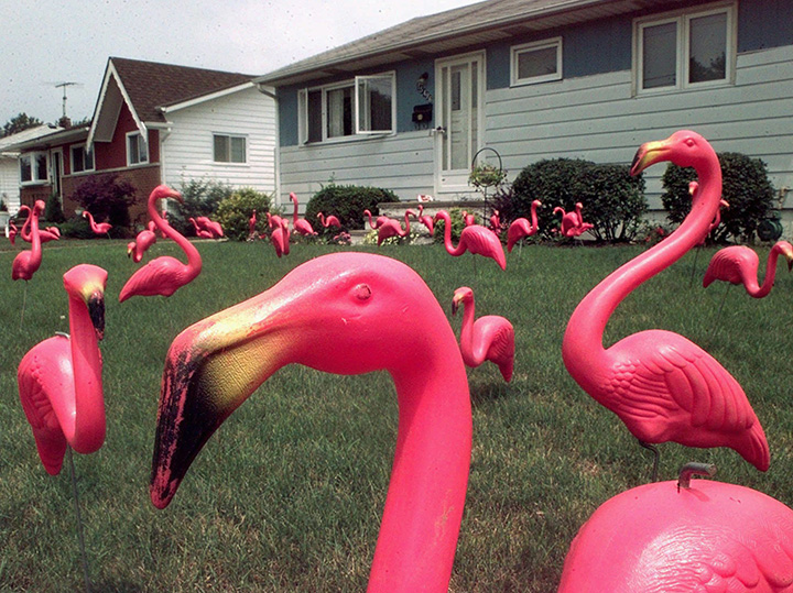 The creator of the pink plastic lawn flamingo, the ultimate symbol of American lawn kitsch, has died. Donald Featherstone was 79.