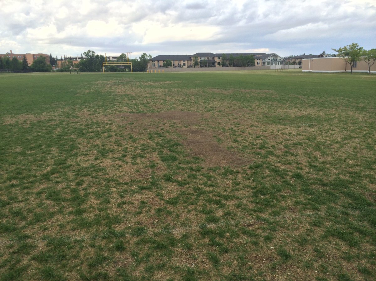 Dr. Martin LeBoldus High School has chosen to close its field to the public as a lack of irrigation means grass is dying.