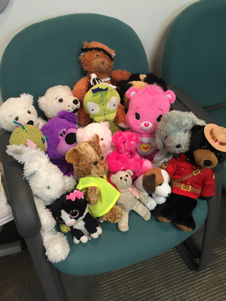 Teddy Bears' Picnic Winnipeg Manitoba lost