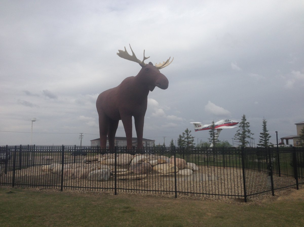 Mac the Moose is no longer the tallest in the world. 