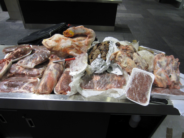 On June 9, 2015, CBSA officers at Toronto Pearson International Airport seized over 27 kilograms of undeclared raw meat from a traveller arriving from Egypt.