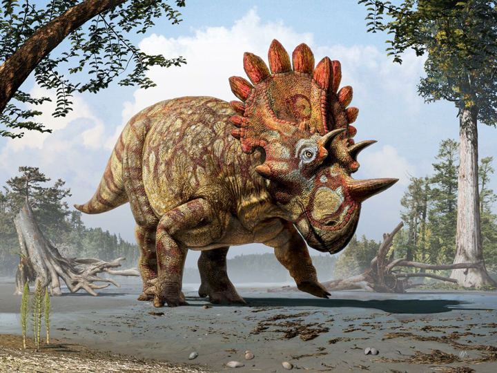 An artistic representation of the newly discovered Regaliceratops peterhewsi.