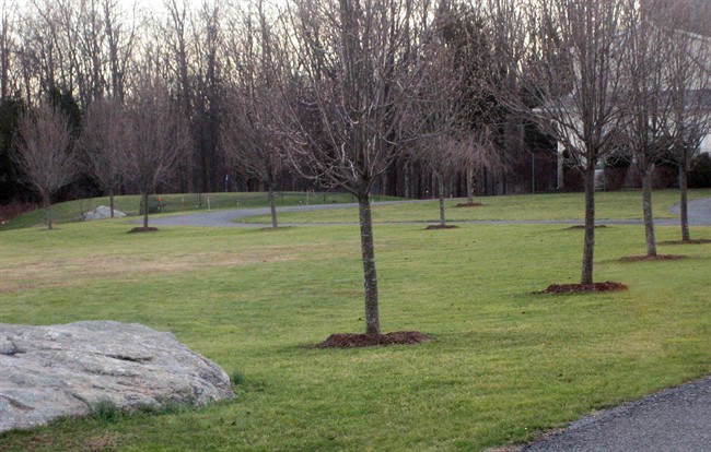 Mulch is good but which is the best