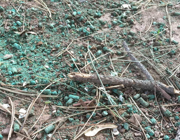 The pellets neighbours believe might have made their pets sick.