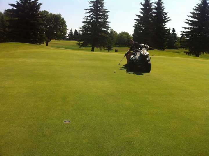 Golf cart helps disabled get back in the game - image