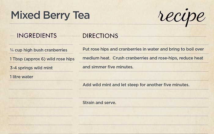 Better Winnipeg: New palettes found with Forest Foragers Program - image