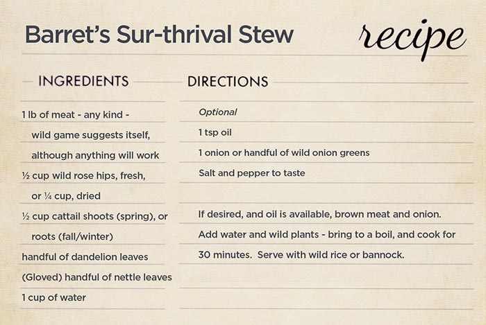 Better Winnipeg: New palettes found with Forest Foragers Program - image