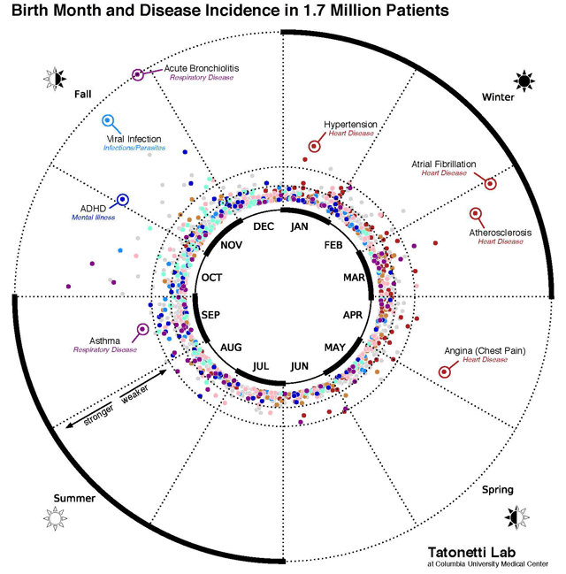 Does your birth month affect your health? Study suggests some months worse than others - image