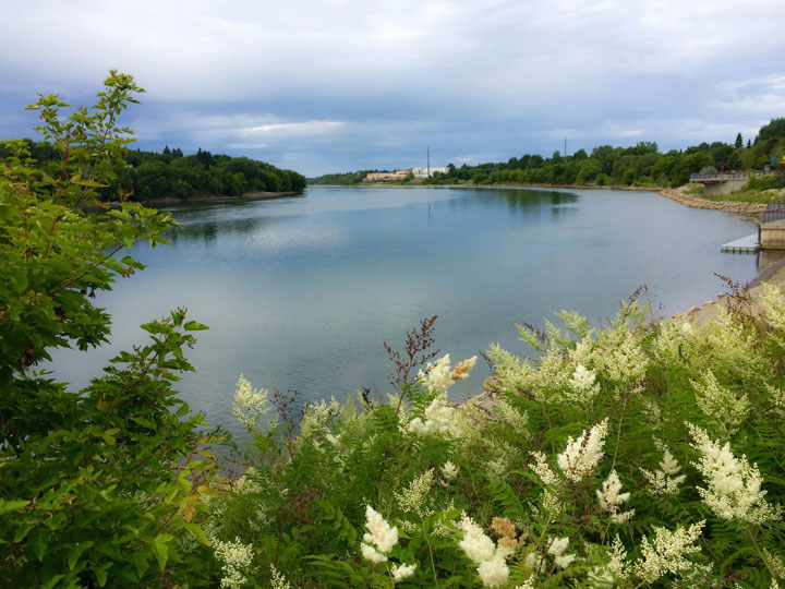 June 28: This Your Saskatchewan photo was taken by Rosemarie Bautista in Saskatoon.