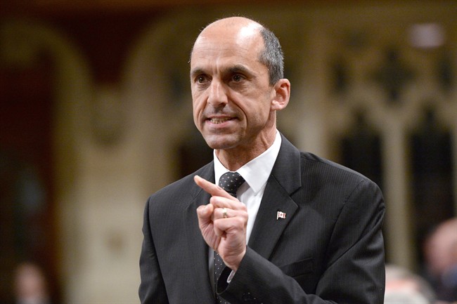 Public Safety Minister Steven Blaney answers a question during question period in the House of Commons on Parliament Hill in Ottawa on June 16, 2015.