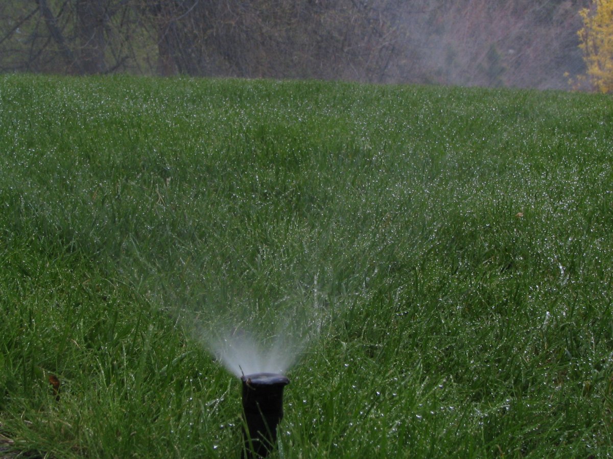 Metro Vancouver water restrictions will kick in two weeks early - image