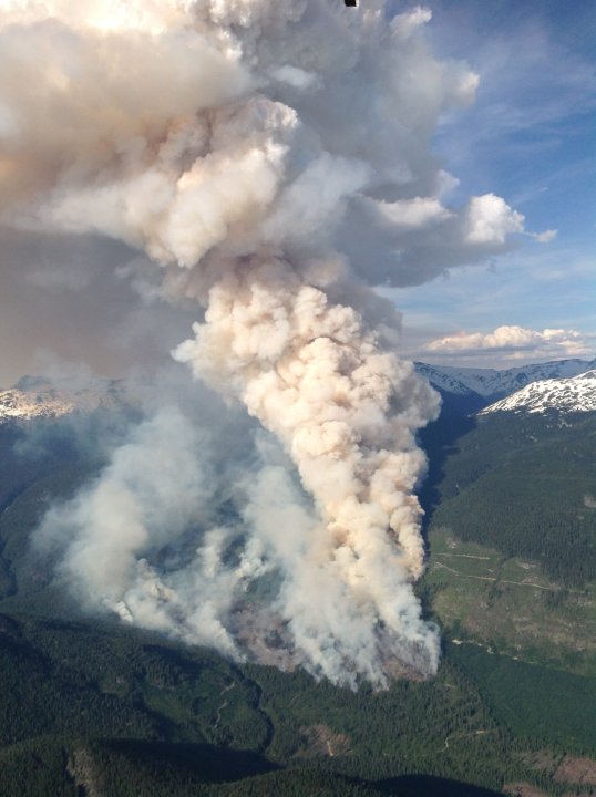 Elaho Valley forest fire grows to 650 hectares - BC | Globalnews.ca